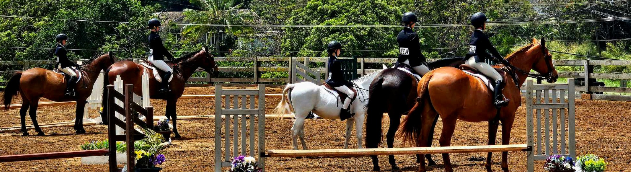 Maui Horse Show Association