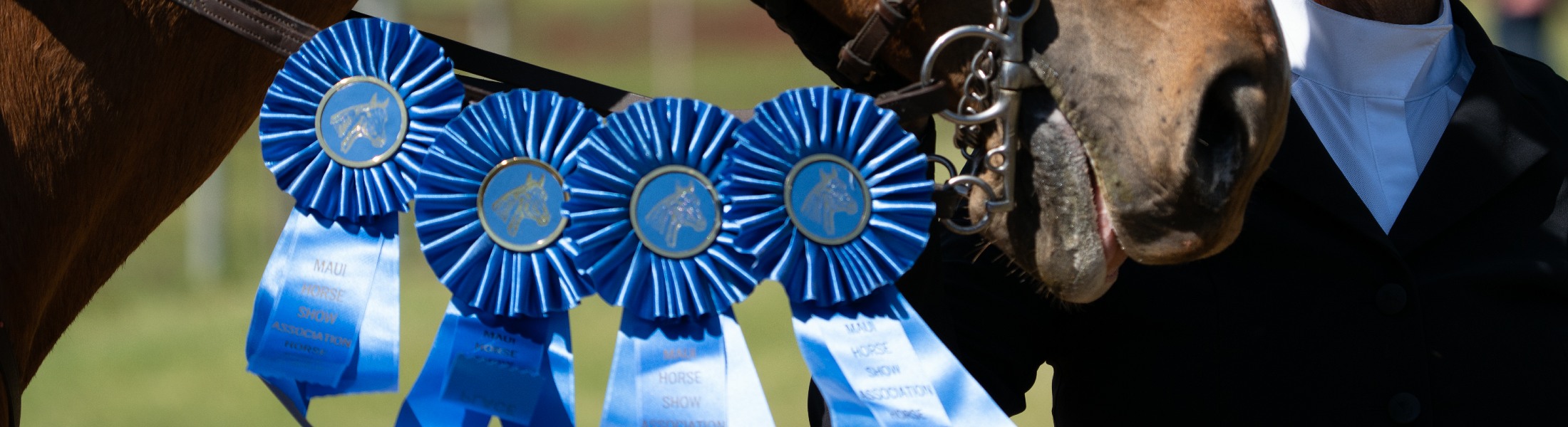 Maui Horse Show Association Membership