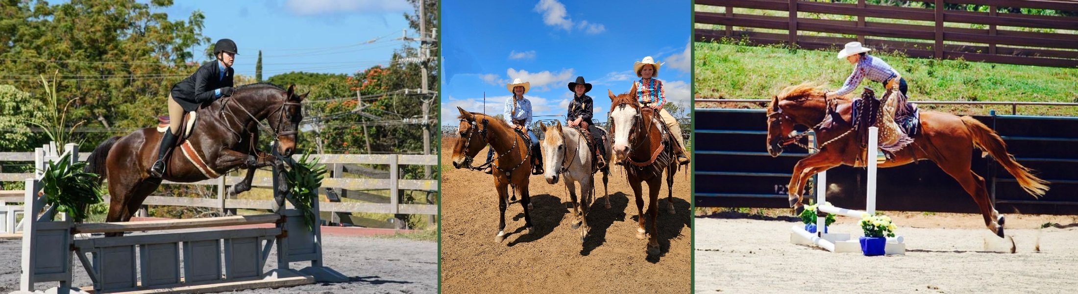 Maui Horse Show Association